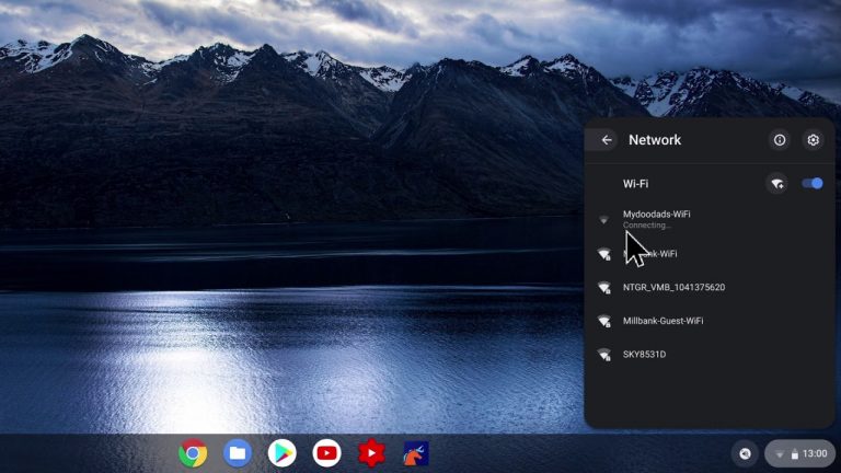 IP address chromebook