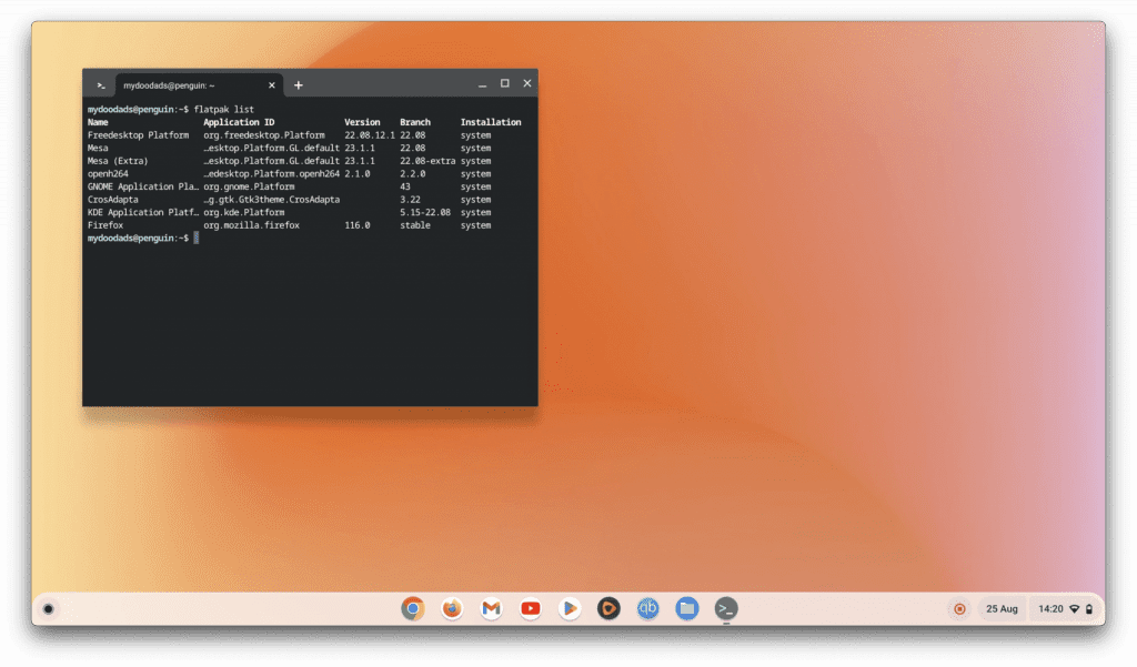 update an application in Linux Development Environment