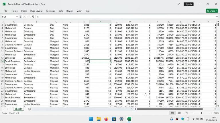 Customised Excel window